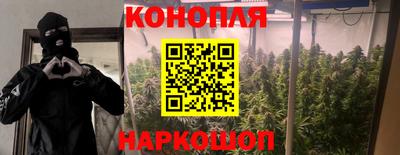 каннабис Баксан