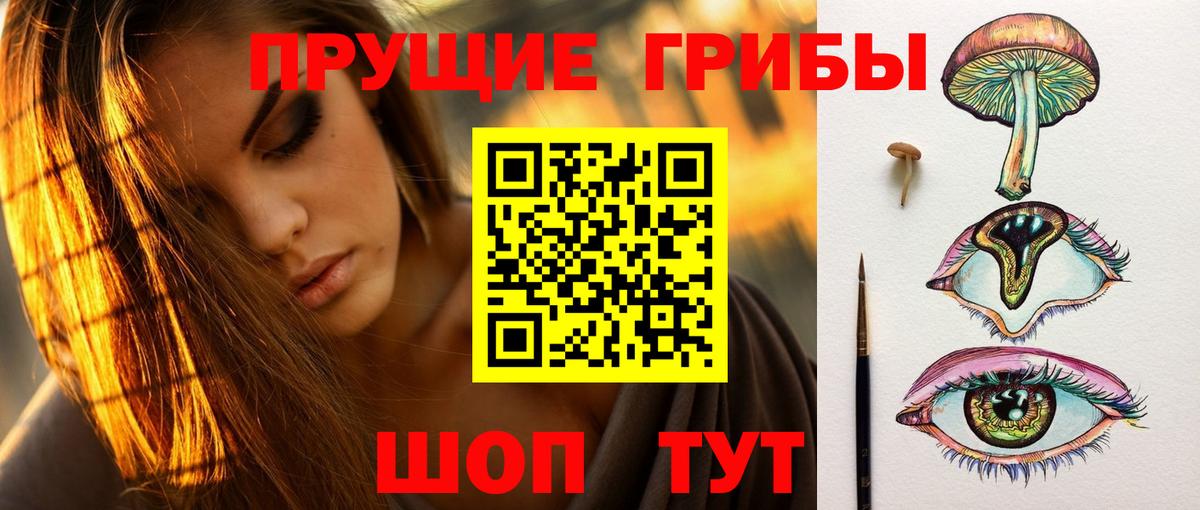 Кимры  Псилоцибиновые грибы GOLDEN TEACHER  Псилоцибиновые грибы мицелий  Вход с VPN 