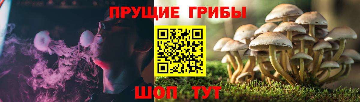 Псилоцибиновые грибы мухоморы Кимры